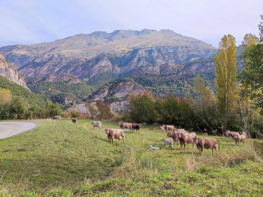 El Refugio De Tena - Tucasaenlospirineos エスカリリャ エクステリア 写真